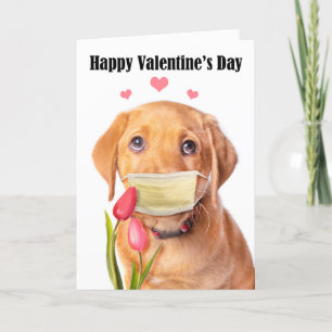 Cartes Pour Fêtes Annuelles Heureuse Sainte-Valentin mou Lab Chipot dans masqu
