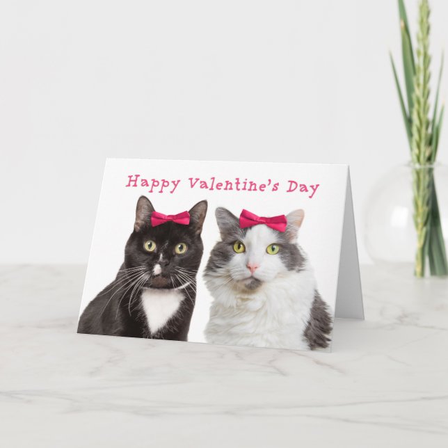 Cartes Pour Fêtes Annuelles Heureuse Sainte-Valentin Pour Femme Ami Fille Chat (Devant)