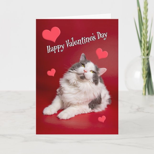 Cartes Pour Fêtes Annuelles Heureuse Sainte-Valentin Pour N'Importe Qui Mignon (Devant)
