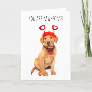 Cartes Pour Fêtes Annuelles Heureuse Sainte-Valentin Pour Toute Personne Migno