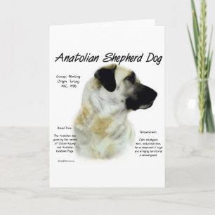 Cartes Pour Fêtes Annuelles Histoire du chien berger d'Anatolie Design