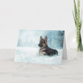 Cartes Pour Fêtes Annuelles Hiver