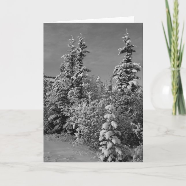 Cartes Pour Fêtes Annuelles Hiver en noir et blanc (Devant)
