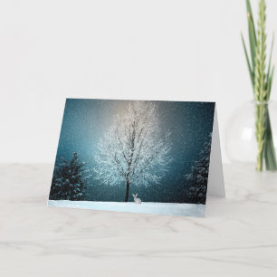 Cartes Pour Fêtes Annuelles Hiver Snowy Rabbit Nature Noël