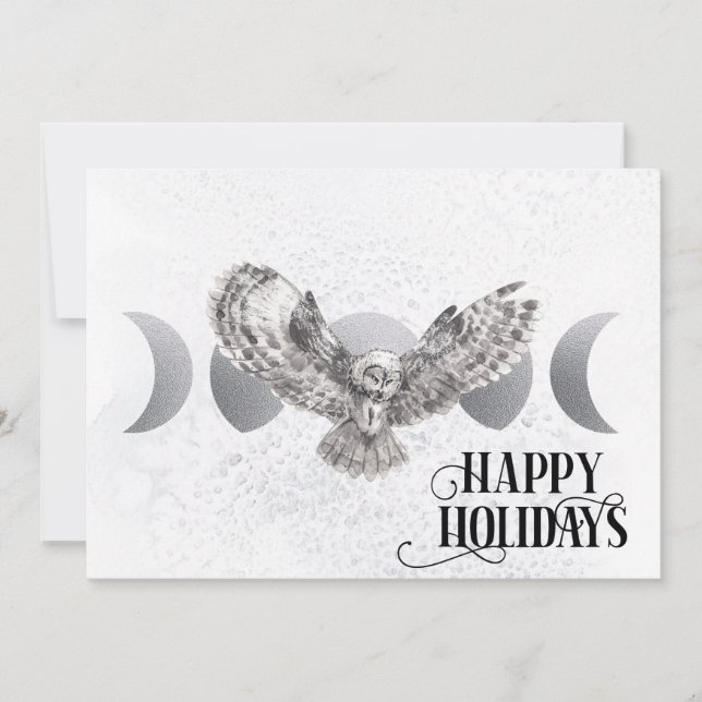 Cartes Pour Fêtes Annuelles Hivernal Chouette Joyeuses Fêtes de Noël (Devant)