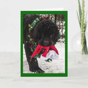 Cartes Pour Fêtes Annuelles Ho Ho Ho