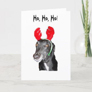 Cartes Pour Fêtes Annuelles Ho Ho Ho ! Andouillers