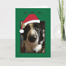 Cartes Pour Fêtes Annuelles Ho Ho Ho Christmas