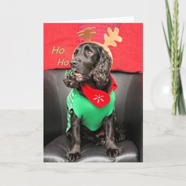Cartes Pour Fêtes Annuelles HoHoHo mignonne chien (Devant)