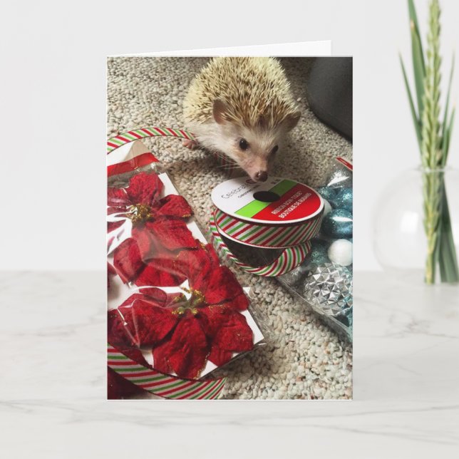 Cartes Pour Fêtes Annuelles Holiday (Devant)