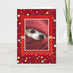 Cartes Pour Fêtes Annuelles Holiday Chihuahua