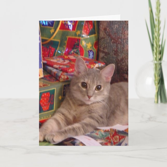 Cartes Pour Fêtes Annuelles Holiday Kitty (Devant)