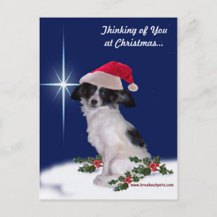 Cartes Pour Fêtes Annuelles Holiday Papillon Postcard