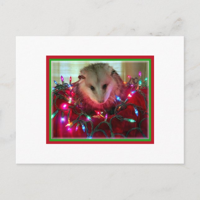 Cartes Pour Fêtes Annuelles holiday possum (Devant)