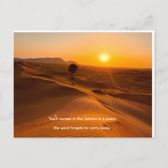 Cartes Pour Fêtes Annuelles Holiday Postcard (Devant)