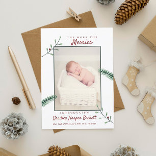 Cartes Pour Fêtes Annuelles Holly Branches Nouveau bébé Photo Naissance de Noë
