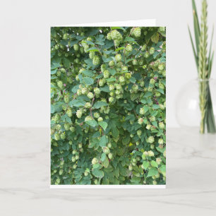 Cartes Pour Fêtes Annuelles Hop blanc automne