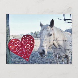 Cartes Pour Fêtes Annuelles HORSE coeur Valentine
