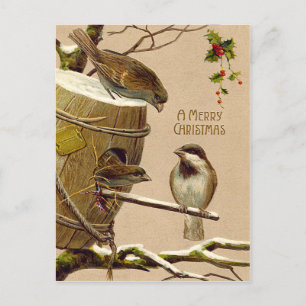 Cartes Pour Fêtes Annuelles Houx de volière de moineau d'oiseau de Noël
