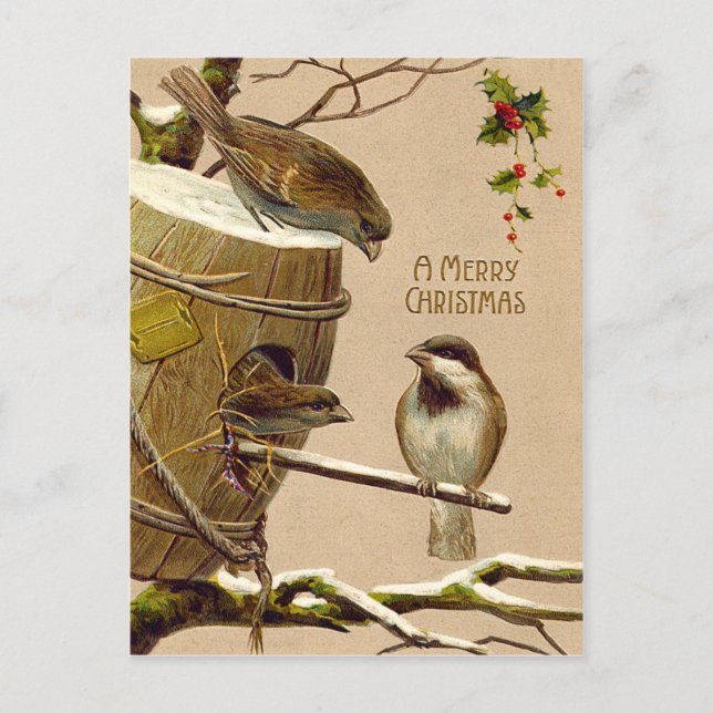 Cartes Pour Fêtes Annuelles Houx de volière de moineau d'oiseau de Noël (Devant)