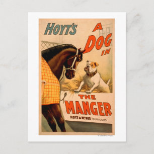Cartes Pour Fêtes Annuelles Hoyt's A dog in the Manger Theatre Poster
