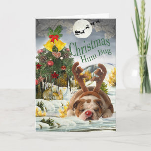 Cartes Pour Fêtes Annuelles Humbug de Bulldog