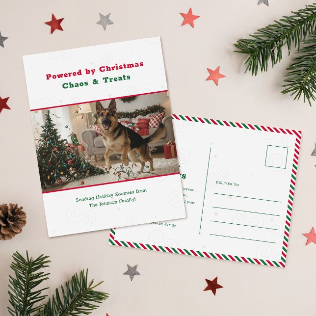 Cartes Pour Fêtes Annuelles Humorous Funny Pet Dog Photo Christmas Postcard (Créateur téléchargé)