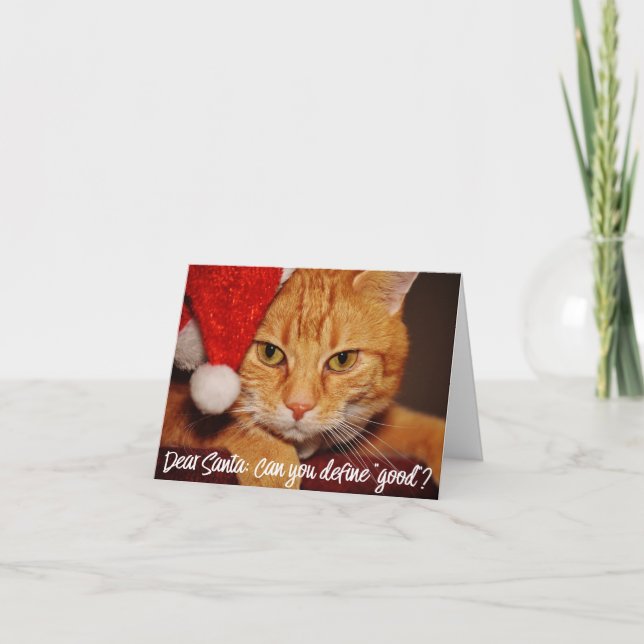 Cartes Pour Fêtes Annuelles Humour Cher Père Noël Définir Bon | Pet Lover (Devant)