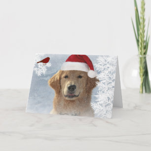 Cartes Pour Fêtes Annuelles Humour de Noël de golden retriever