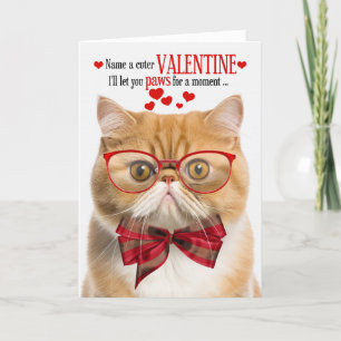 Cartes Pour Fêtes Annuelles Humour Exotic Shorthair Ginger Cat Saint-Valentin
