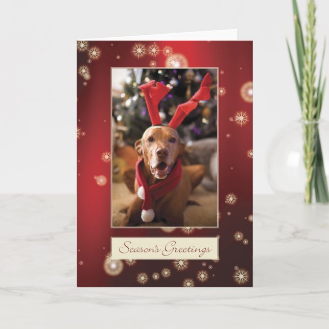 Cartes Pour Fêtes Annuelles Hungarian Vizlais Christmas Card 008 (Devant)