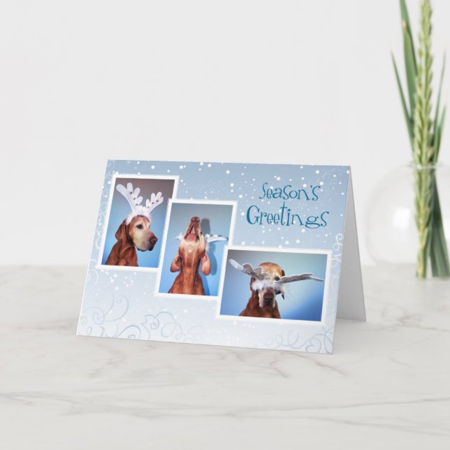 Cartes Pour Fêtes Annuelles Hungarian Vizlais Christmas Card 011 (Devant)