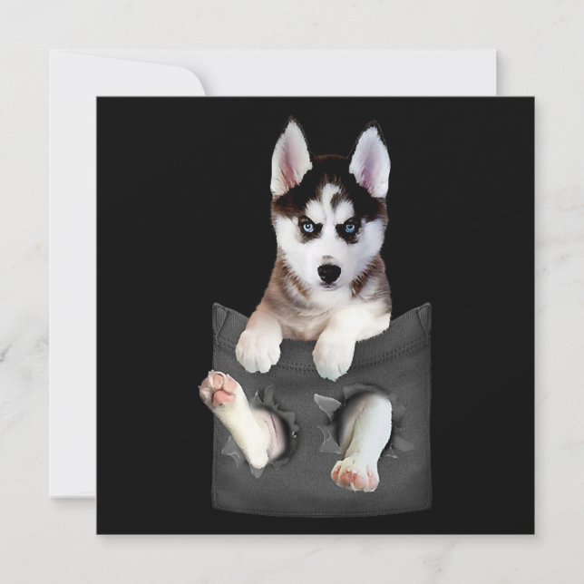 Cartes Pour Fêtes Annuelles Husky Sibérien Dans Pocket Puppy (Devant)