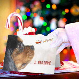 Cartes Pour Fêtes Annuelles I Love In Christmas With Cavalier King Charles