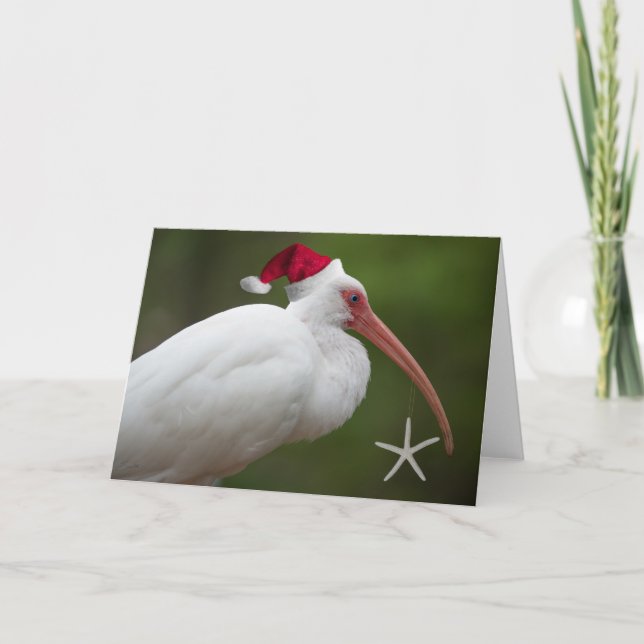 Cartes Pour Fêtes Annuelles Ibis avec chapeau santa (Devant)