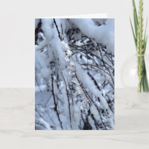 Cartes Pour Fêtes Annuelles Icicle Holiday Card