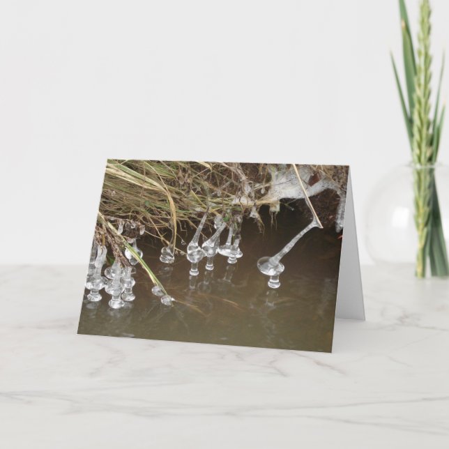 Cartes Pour Fêtes Annuelles Icicules (Devant)