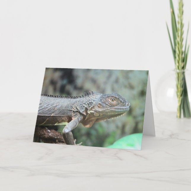 Cartes Pour Fêtes Annuelles Iguana rouge (Devant)