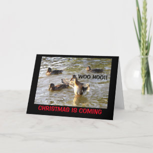 Cartes Pour Fêtes Annuelles Il Est Temps De Chaudir Les Halls ! Humour de Noël
