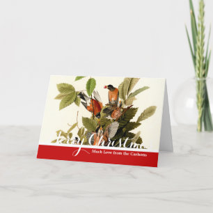 Cartes Pour Fêtes Annuelles Illustration Audubon American Robin Wildlife Bird