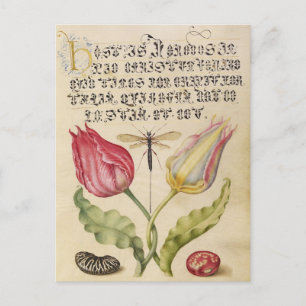 Cartes Pour Fêtes Annuelles Illustration botanique vintage