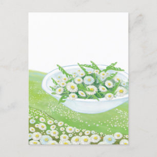 Cartes Pour Fêtes Annuelles Illustration de salade de printemps Daisy et Dande