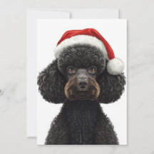 Illustration d'un chien caniche noir festif avec u