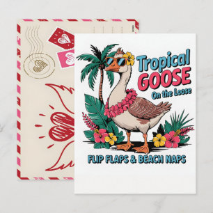 Cartes Pour Fêtes Annuelles Illustration vibrante d'oiseau casoar de la jungle