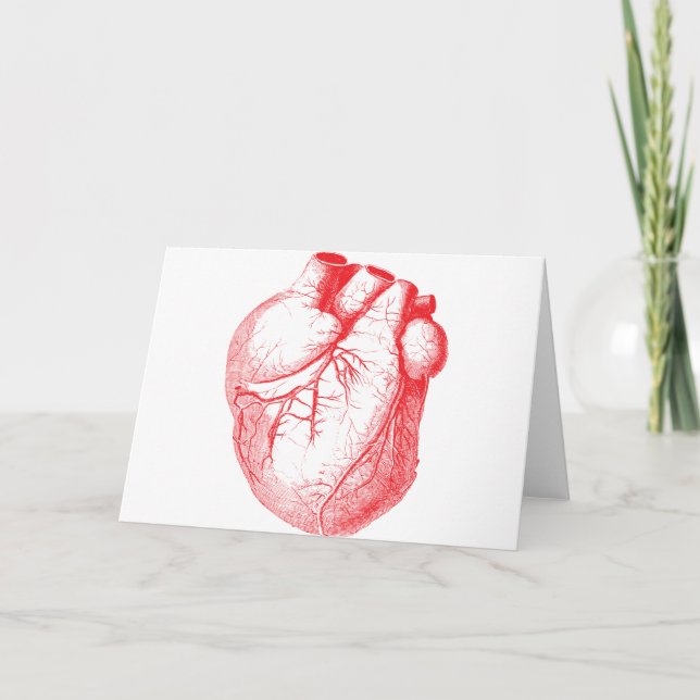 Cartes Pour Fêtes Annuelles Illustration vintage du coeur médical (Devant)