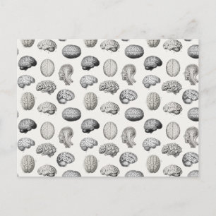 Cartes Pour Fêtes Annuelles Illustrations d'anatomie cérébrale et de biologie