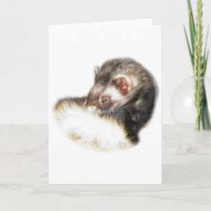 Cartes Pour Fêtes Annuelles Image du Ferret de l'able