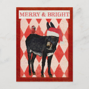 Cartes Pour Fêtes Annuelles INDIGO DONKEY & CARDINAL CHRISTMAS Postcard