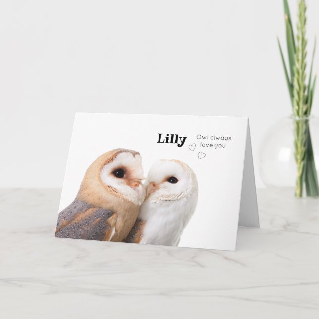 Cartes Pour Fêtes Annuelles Inséparables - Hibou vous aime toujours - Personna (Devant)