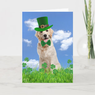 Cartes Pour Fêtes Annuelles Irlandais Golden Retriever avec Shamrock